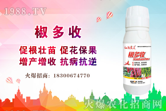 С���r������Xһ����2020�����С���r��߀���ϝq����