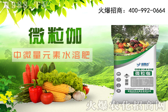 ����ԓ��ô��������������r(sh��)�g������ע��Ҫ�c(di��n)��