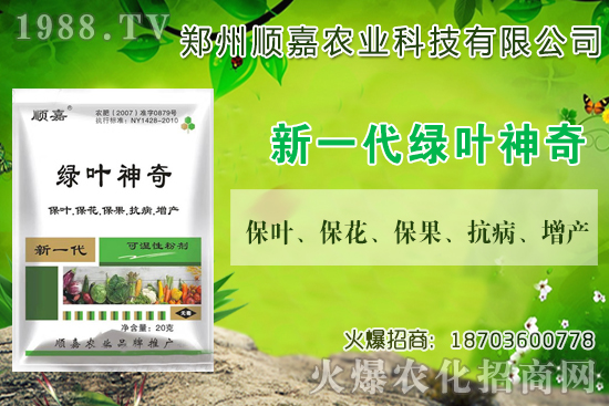 С���r���B�B�ϝq���F(xi��n)��һ������X��