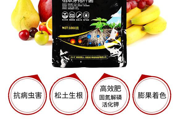 ����VԴ�S����⛡���-�~����-Ӣ����_07