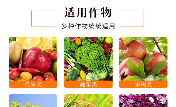 �Ǵ��\-Ӣ����_06