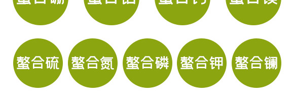 ΢��Ԫ��ˮ�ܷ���-ϡ��13Ԫ��-Ӣ����_07