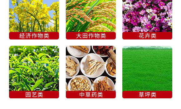 240g�Ҹ����-Ӣ����_07