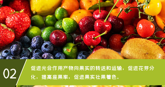 ΢��Ԫ��ˮ�ܷ���-ϡ��13Ԫ��-Ӣ����_09