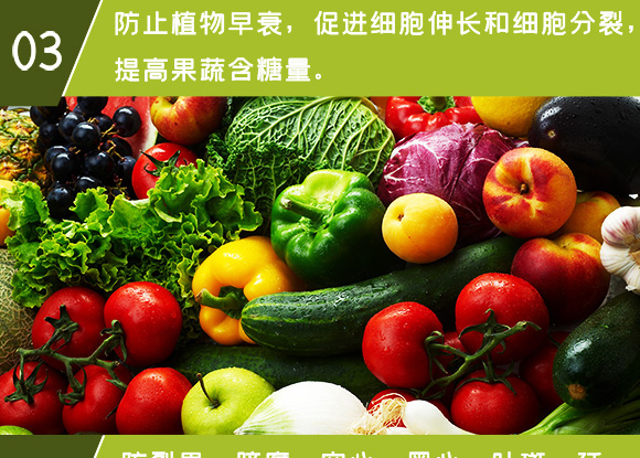 �Ǵ��}-Ӣ����_10