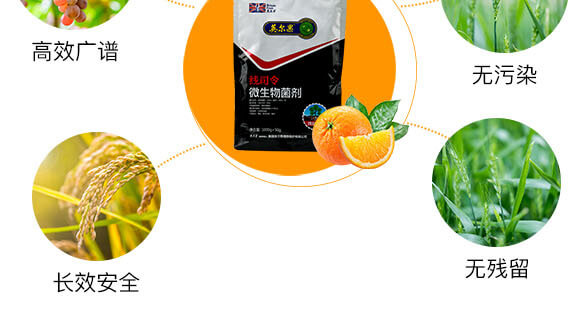 ���x����΢�������-��˾��-Ӣ����_05