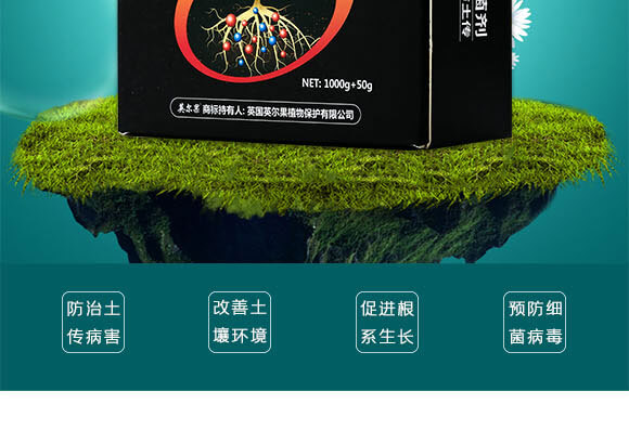 ΢�������-������-Ӣ����_03