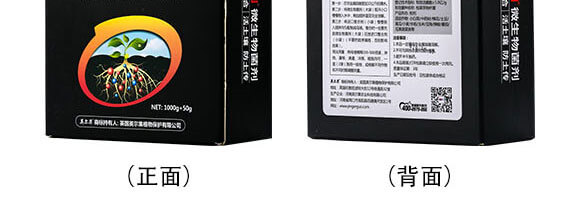 ΢�������-������-Ӣ����_08