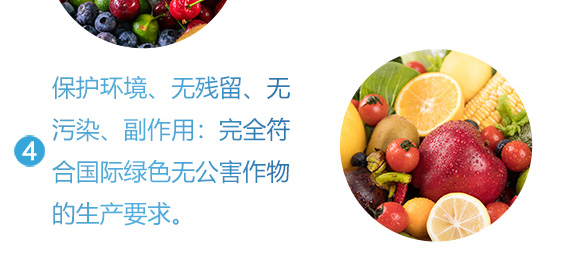 240g�ߵ�360-Ӣ����_07