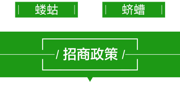 20%���衤������-����-��̖(h��o)�r(n��ng)�I(y��)_13