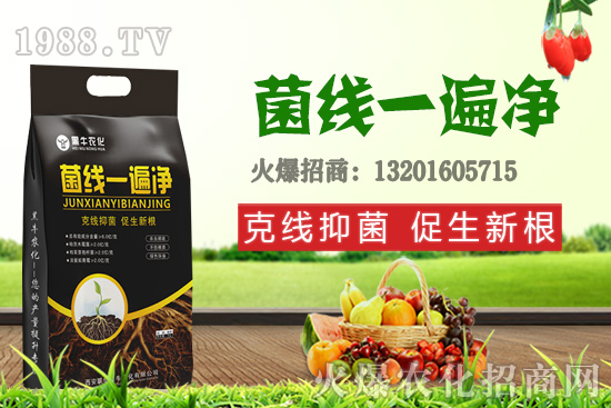 9��19��С���r��������q�����F(xi��n)��