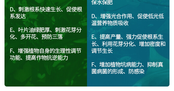 750-Ԕ���(y��)_06