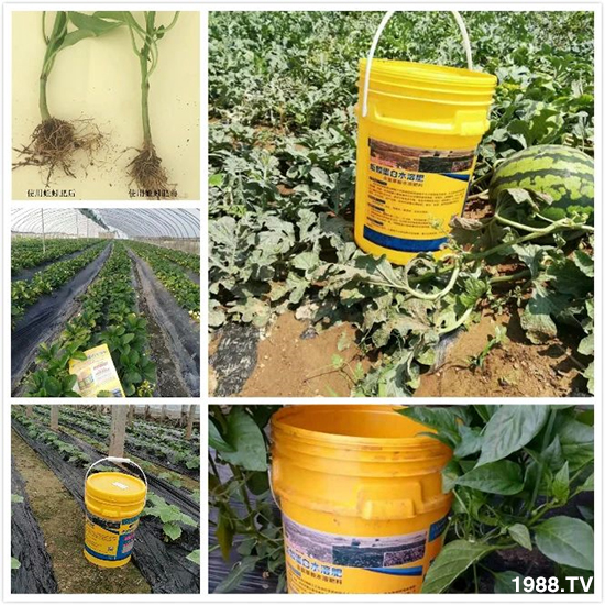 ˮ�ܷ��Ј���׃��������徫���~���׌�����������1000���Ñ��������]��