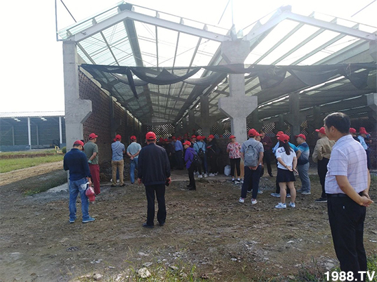 ˮ�ܷ��Ј���׃��������徫���~���׌��������棡1000���Ñ��������]��