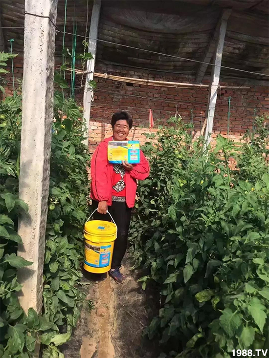 ˮ�ܷ��Ј���׃������徫���~���׌��������棡1000���Ñ��������]��