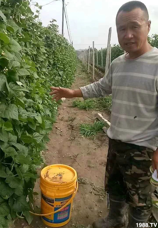 ˮ�ܷ��Ј���׃��������徫���~���׌��������棡1000���Ñ��������]��