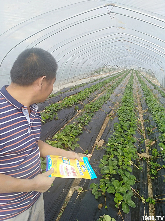 ˮ�ܷ��Ј���׃��������徫���~���׌��������棡1000���Ñ��������]��