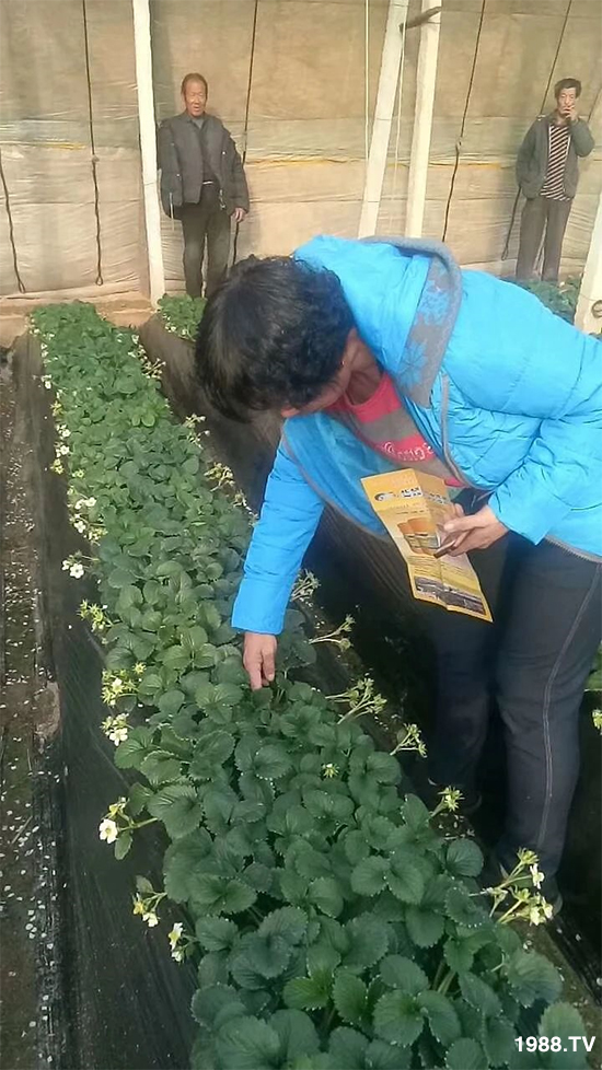 ˮ�ܷ��Ј���׃��������徫���~���׌��������棡1000���Ñ��������]��