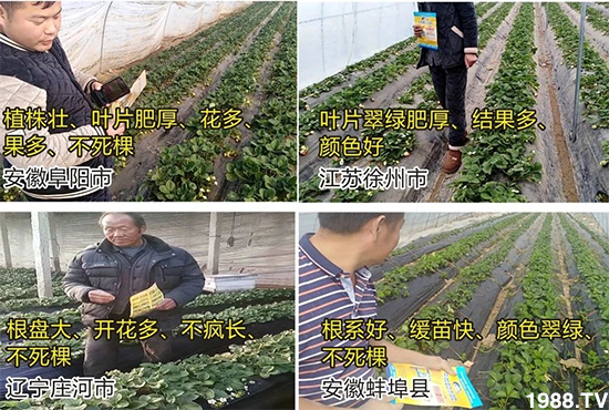 ˮ�ܷ��Ј���׃��������徫���~���׌�����������1000���Ñ��������]��