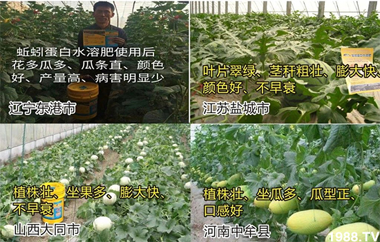 ˮ�ܷ��Ј���׃��������徫���~���׌�����������1000���Ñ��������]��