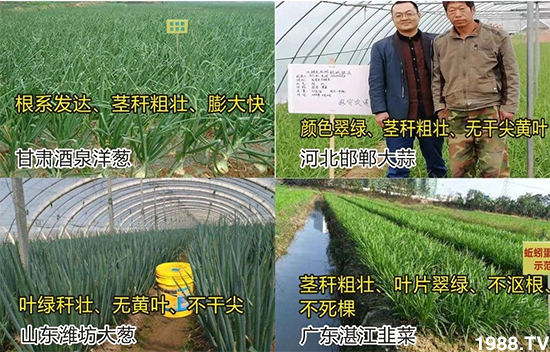 ˮ�ܷ��Ј���׃��������徫���~���׌��������棡1000���Ñ��������]��