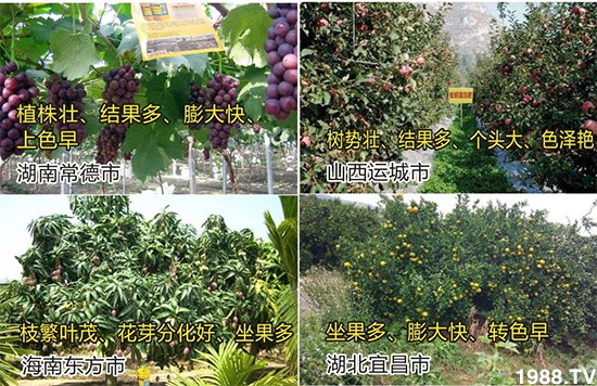 ˮ�ܷ��Ј���׃������徫���~���׌�����������1000���Ñ��������]��