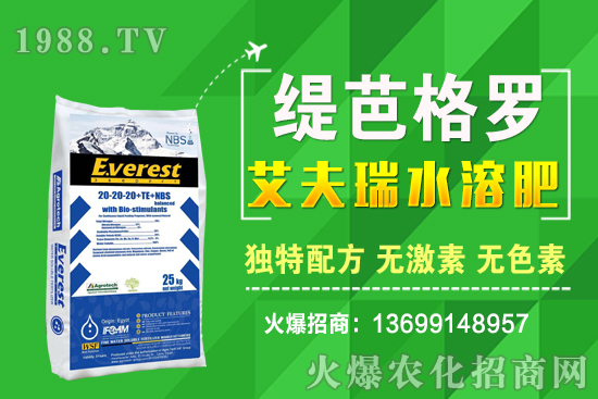 С���r(ji��)��q����ʮ��С�������A(y��)�y��