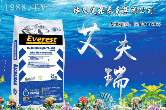 ����������Ҫ�c(di��n)����Щ�����������g���������x(ch��ng)��������