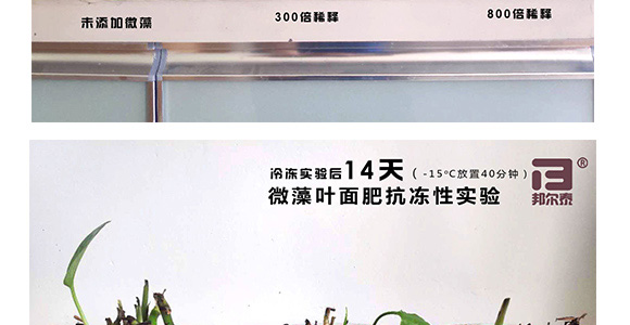 ΢��ԭҺ-һ�n��-�̩_14