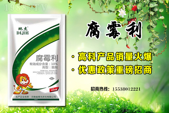 ��ƺ�������r������2021��2��11��