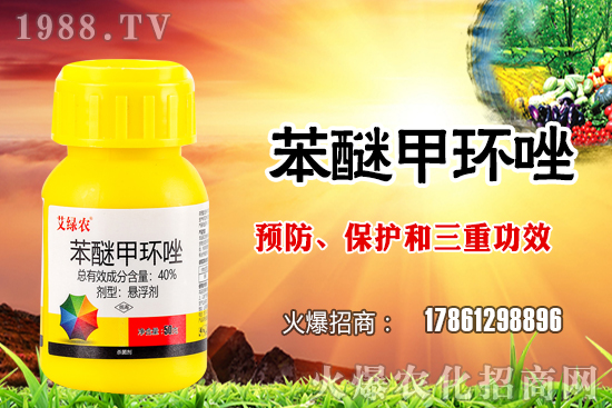 ����������x�����׷N�������׷NֲҪע����Щ���}��