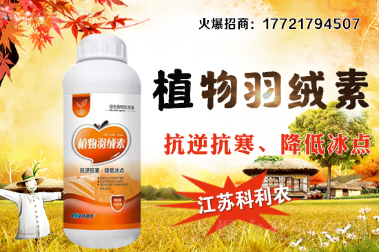 �����׷Nֲ�ܶ���ΰ�����������ʩ�ʼ��к��ڹ�����