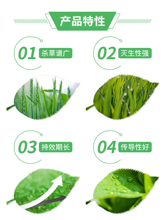 75%���׻�¡-�ص�+�G��-ϲ�S��_02