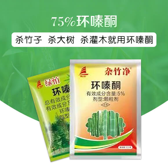 75%�h(hu��n)�ͪ��500�ˣ�-�s���-ϲ�S��_01