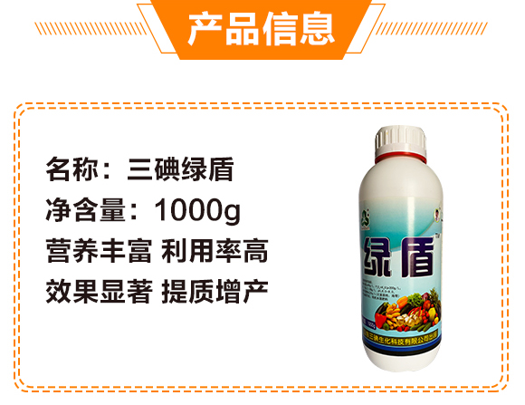 1000g����G��-��������_04