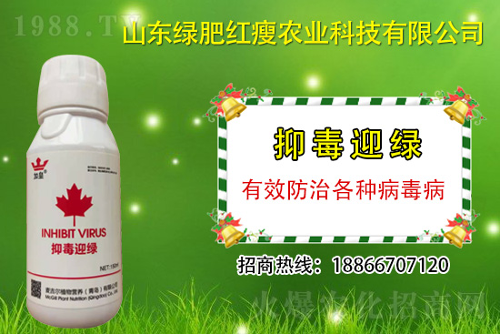 ���β�������Ҳ���ð������ֶ�ӭ�G�����β�������