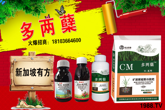 2021�����ַNֲǰ������������ֺ���ͨ�����к΅^(q��)�e��