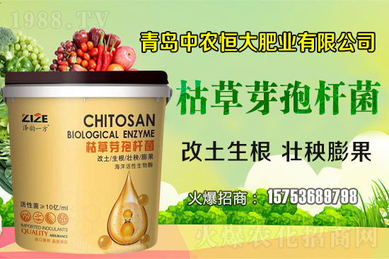 �ݲ�ѿ�ߗU������ǡ����С������ݲ�ѿ�ߗU�����w�������˽����