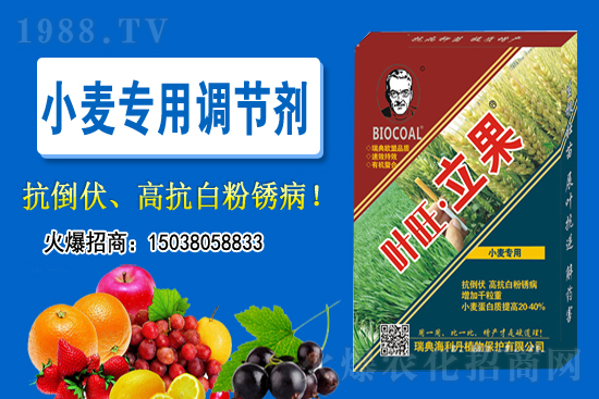 С���P(y��ng)����