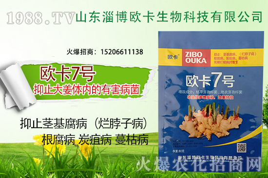 �W�������ٺ�1988.TV������(sh��)�F(xi��n)��I(y��)�v�w��(m��ng)��