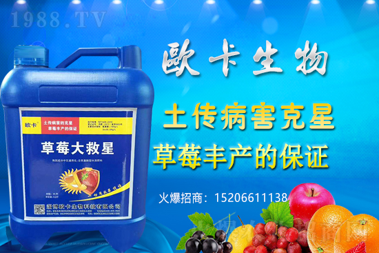 �W�������ٺ�1988.TV������(sh��)�F(xi��n)��I(y��)�v�w��(m��ng)��