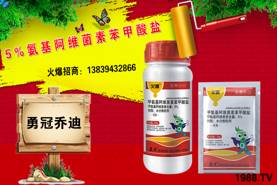 ��������(j��)���¹چ̵ϣ��{(l��n)�����ٺ�1988.TV������(chu��ng)���x����