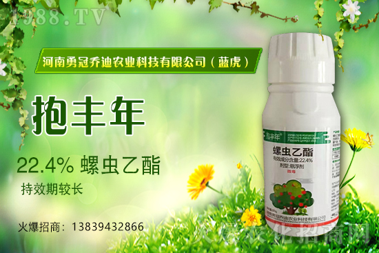 ��������(j��)���¹چ̵ϣ��{(l��n)�����ٺ�1988.TV������(chu��ng)���x����