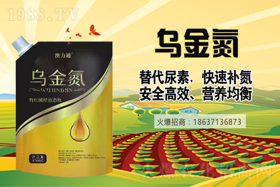 ���؃r���ǝq�ǵ���2021��6��9���A�����؃r��һ�[