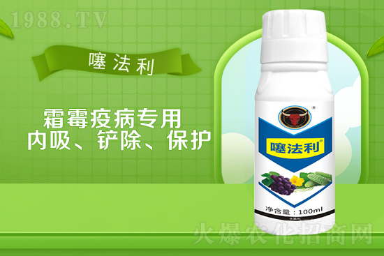 �fù�`�������r��2021��7��26��