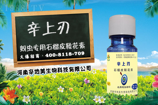 �������x(ch��ng)