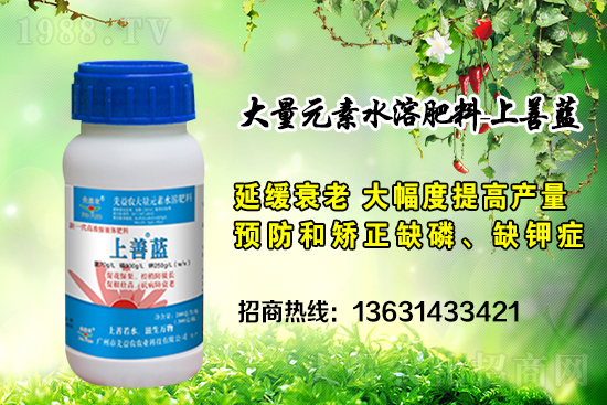 �V���������r(n��ng)�ٶȔy��1988.TV���y�ֹ���(chu��ng)��(zh��n)����