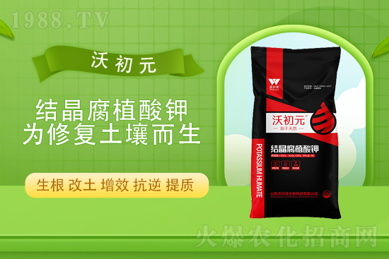 ���؎���»���2021��9��15�Շ���(n��i)���������߄�(sh��)