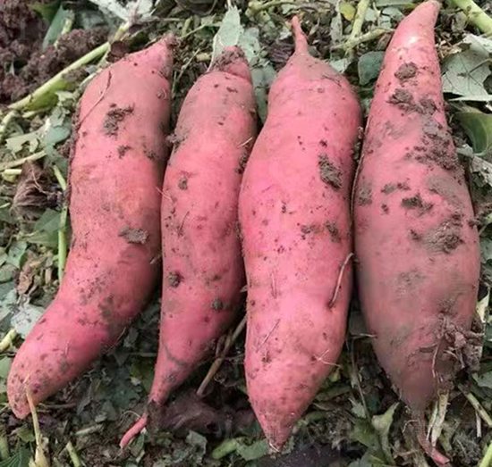 �ع������7