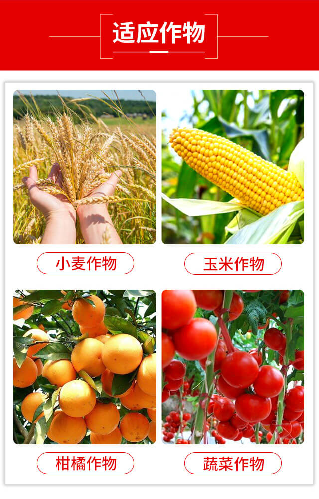 ���x�����ȷ�-�{(l��n)��Ʒ��_03